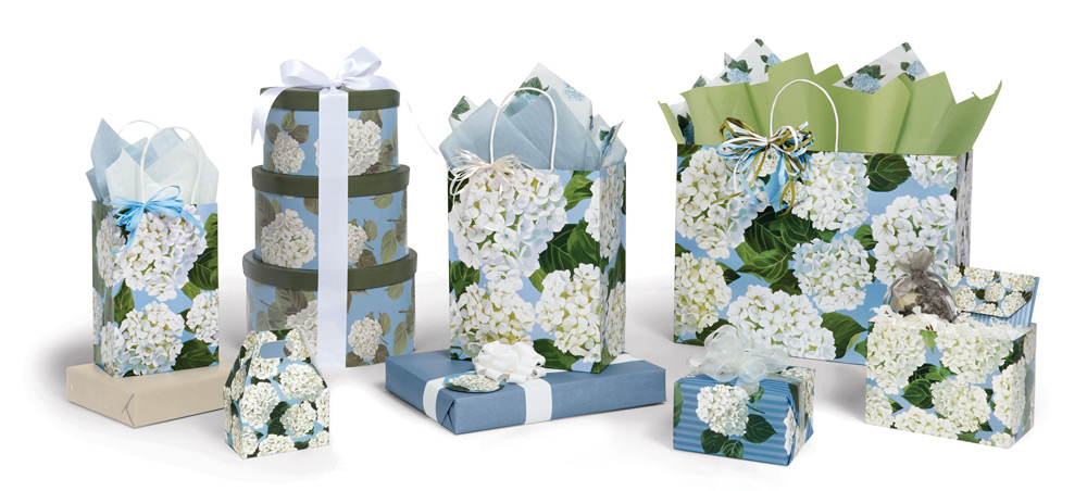 Hydrangea Blossoms Collection