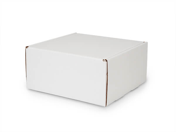 White Kraft Tab Lock Mailer Boxes, 10x10x5", 25 Pack