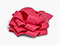 Fuchsia Pink