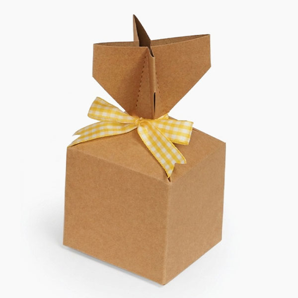 Kraft Cinch Gift Box