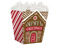 Iced Gingerbread House