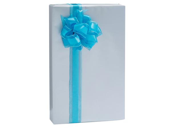Silver Gloss Wrapping Paper, 24"x85' Roll