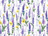 Nashville Wraps Persian Blooms Gift Wrap, 24x85' Roll