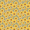 Summer Sunflower