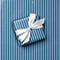 French Blue Stripe