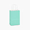 Aqua White Kraft Shopping Bags Rose 5.5x3.25x8.5", 250 Pack-thumbnail