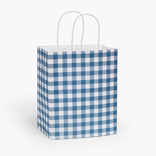 Blue Gingham Paper Gift Bag, Cub 8x4.75x10.25", 250 Pack