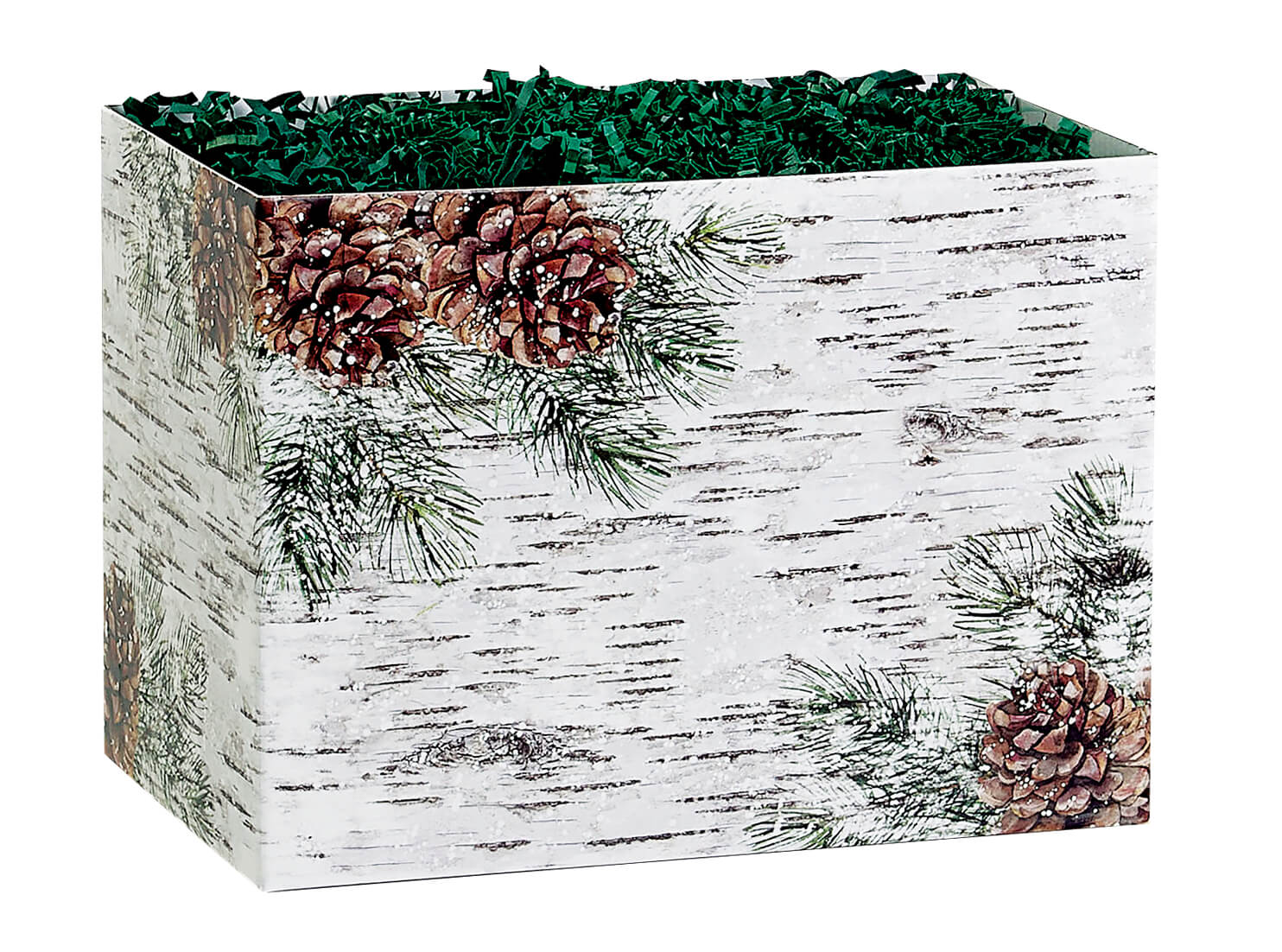 Birch and Pine Basket Box, Small 6.75x4x5", 6 Pack