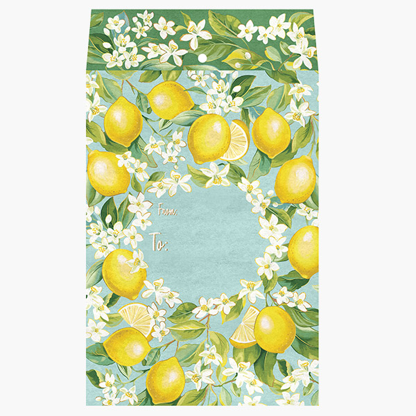 Lemon Tree Small Padded Mailing Envelopes, 6x9.5x.5", 60 pack