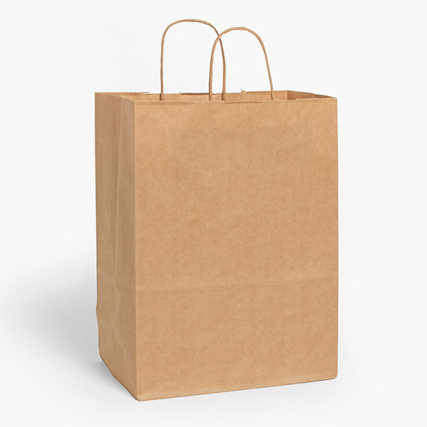 Natural Brown Kraft Shopping Bags, Carrier 10x5x13", 100 Pack