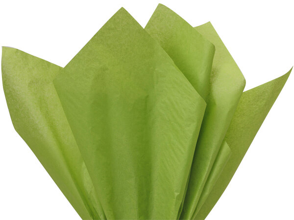 Oasis Green Color Tissue Paper, 20x26", Bulk 480 Sheet Pack