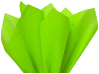 Light Yellow Color Tissue Paper - 20 X 30