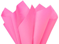 Solid Hot Pink Tissue Sheets - 20 x 26, 10 Count - Perfect Colorful Gift  Wrapping & Craft Supplies
