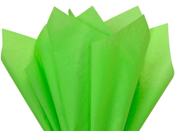 Groovy Green Color Tissue Paper, 20x30", 24 Soft Fold Sheets