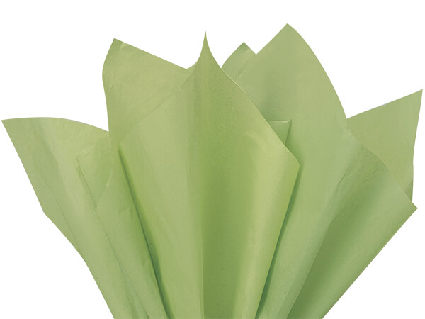 Jade Green Color Tissue Paper, 20x30", 24 Soft Fold Sheets