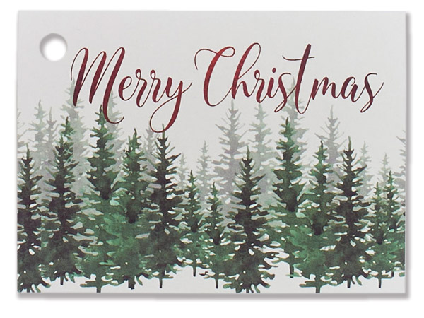 Evergreen Christmas Theme Card, 3.75x2.75", 6 Pack