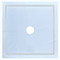 Bare Blooms Sky Blue