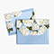 Hydrangea Blossoms