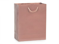 Hot Pink Gloss Gift Bags, Cub 8x4x10, 10 Pack