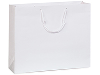  MODEENI White Gift Bags with Handles Medium Size 8x10 Wedding  Bags with Silver Handles 12 Bags Pure White Paper Shopping Bags 8x5x10 :  Health & Household