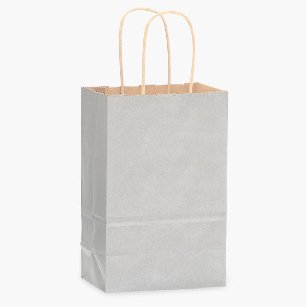 Metallic Silver Recycled Kraft Bag, Rose 5.5x3.25x8.375", 100 Pack