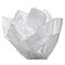 HS1004 - HS1004-2