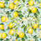 Lemon Tree Wrapping Paper, 24"x417', Half Ream Roll-thumbnail