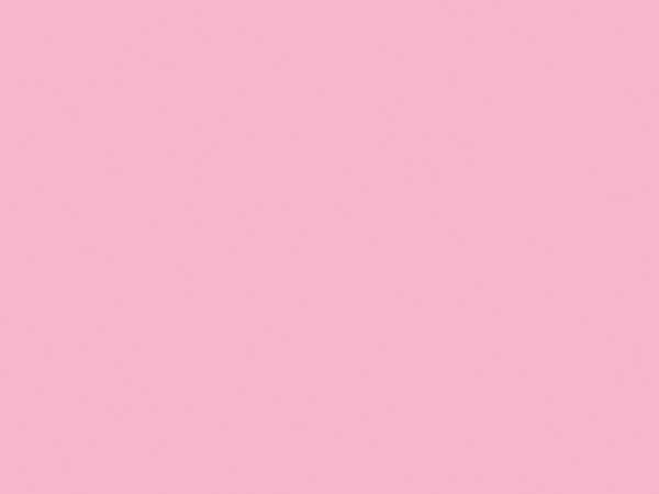 Pastel Pink Matte Gift Wrap, 30"x417', Half Ream Roll