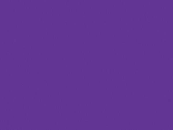 Purple Matte Gift Wrap, 24"x417', Half Ream Roll