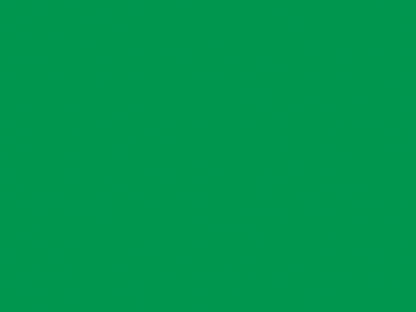 Green Matte Gift Wrap, 24"x833', Full Ream Roll