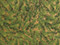 Evergreen Kraft on Gold Gift Wrap, 30"x104' Roll-thumbnail