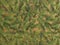 Evergreen Kraft on Gold Gift Wrap, 30"x833', Full Ream Roll-thumbnail