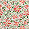 Pretty Poinsettias