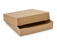 Kraft Carton Picnic Box 228x122x97mm (125 Units)