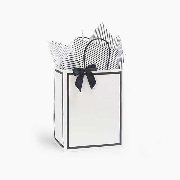 Luxe Borders Paper Gift Bags, Cub 8x4.75x10", 250 Pack