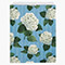 Hydrangea Blossoms