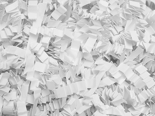 White Monster Crinkle Cut Shredded Paper, 10 lb Box