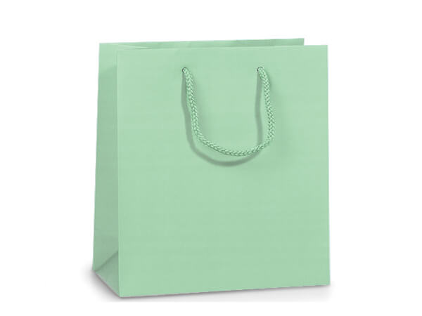 Aqua Matte Gift Bags, Jewel 6.5x3.5x6.5", 10 Pack