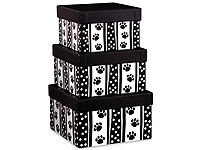 Polka Dot Paws Nested Boxes, Large 3 Piece Set