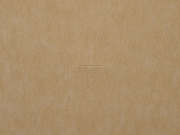 Wheat Essence Non-Woven Tissue, 20x20" X-cut center, 100 sheets