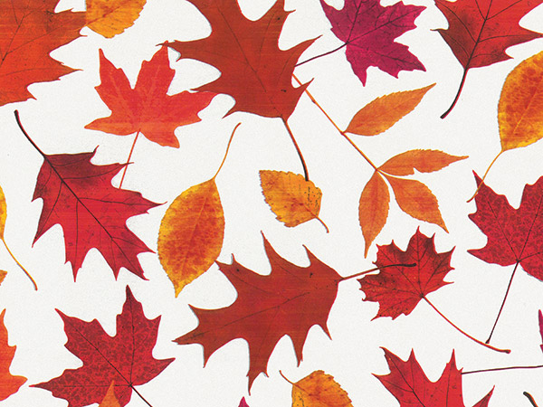 Autumn Leaves Tissue Paper