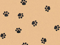 100 Sheets Tissue Paper Paw Prints