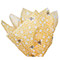 P1470H - P1470-2