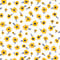 Daisy Tissue Paper, 20x30", Bulk 120 Sheet Pack-thumbnail
