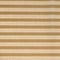 Gold Stripe Sun Gold