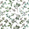 Eucalyptus Tissue Paper, 20x30", Bulk 100 Sheet Pack-thumbnail