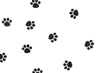 100 Sheets Tissue Paper Paw Prints