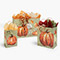 Bag Assortment