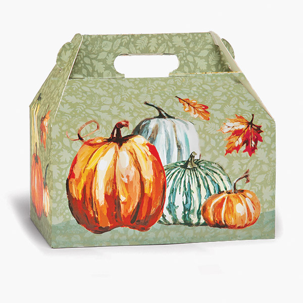 Painted Pumpkins Gable Box, 9.5x5x5", 6 Pack