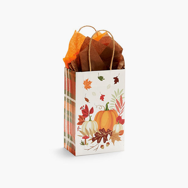 *Pumpkin Plaid Paper Gift Bags, Rose 5.25x3.5x8.25", 100 Pack